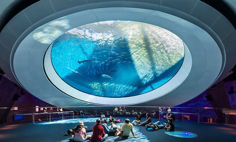 آکواریوم پلنتاریوم و مزایای آن