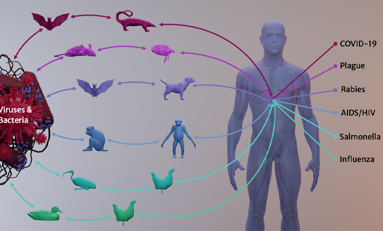 بیماری‌ های زئونوز چیست؟