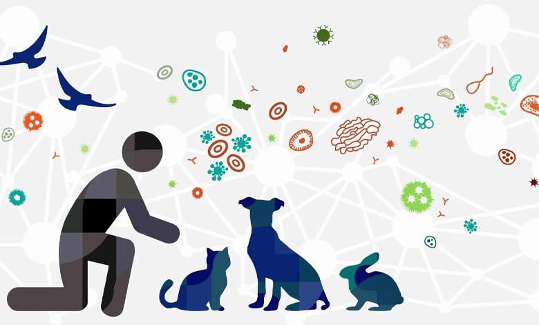 علائم بیماری‌ های زئونوز در انسان