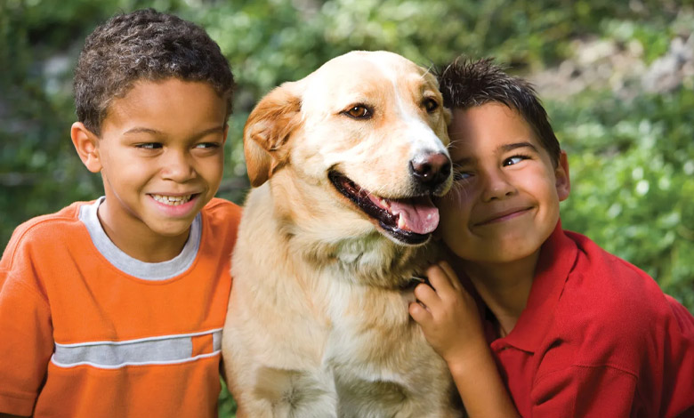 افزایش عمر مفید حیوانات