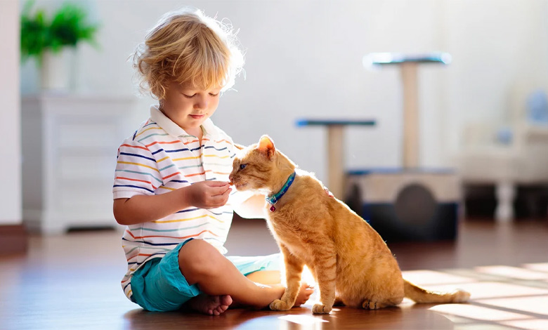 نکات ویژه درباره حیوانات خانگی در آپارتمان‌نشینی