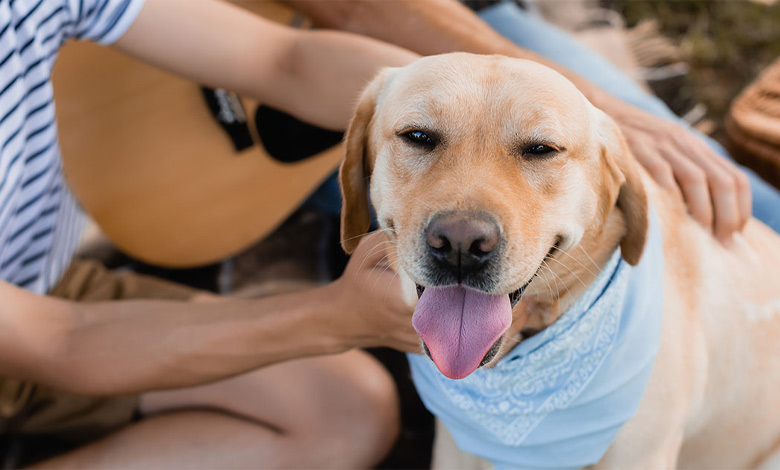 چارچوب قانونی در ایران