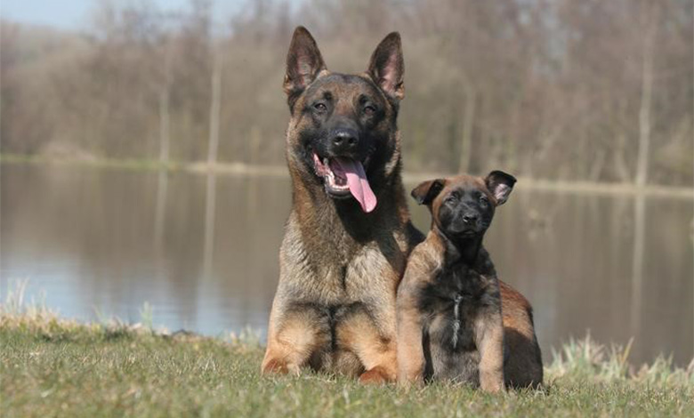 Education and training