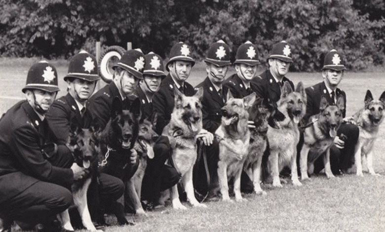 History and origin of breeds