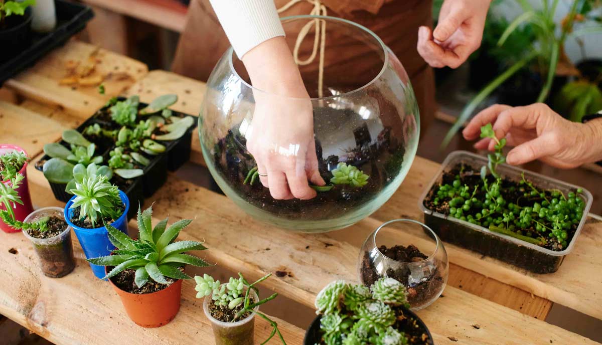 چگونه یک تراریوم ساده و ارزان برای مارمولک خانگی بسازیم