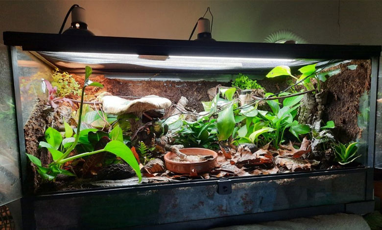 تراریوم بیواکتیو چیست؟