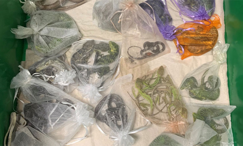 خزندگان قاچاق