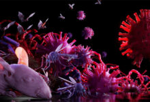 خطرات مشترک بین انسان و حیوانات اگزوتیک بیماری‌ های زئونوز در انسان