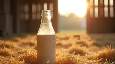 چگونه از محصولات حیوانات مزرعه خود (شیر، تخممرغ) درآمدزایی کنیم؟