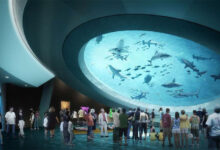 راه‌ اندازی یک آکواریوم پلنتاریوم از صفر تا صد