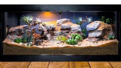 معرفی انواع تراریوم‌های بیواکتیو و نحوه ساخت آن‌ها