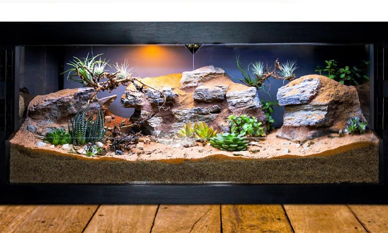 معرفی انواع تراریوم‌های بیواکتیو و نحوه ساخت آن‌ها