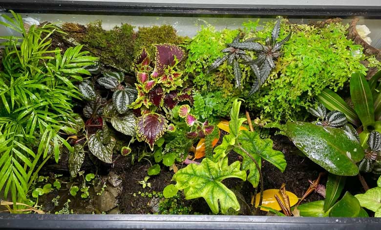 نحوه ساخت تراریوم بیواکتیو